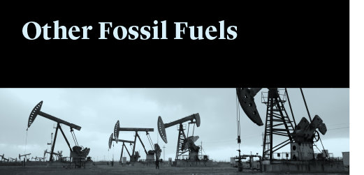 23031007 Energy ResourceOtherFossilFuels520x250