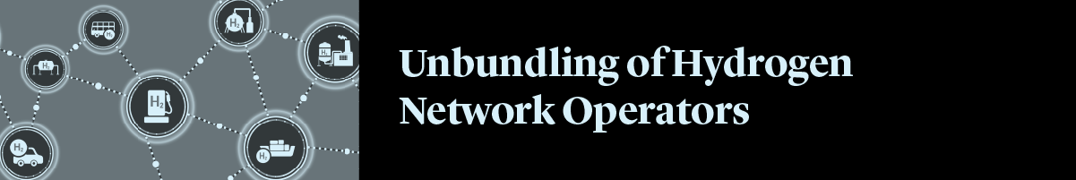 Unbundling-of-Hydro-Network-1200x200