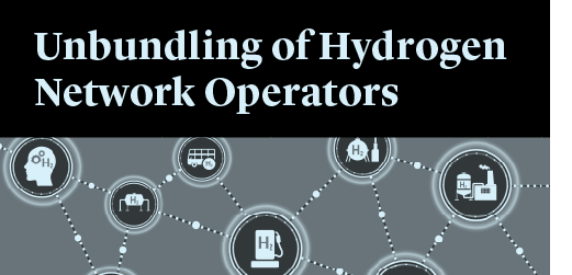 Unbundling-of-Hydro-Network-520x250