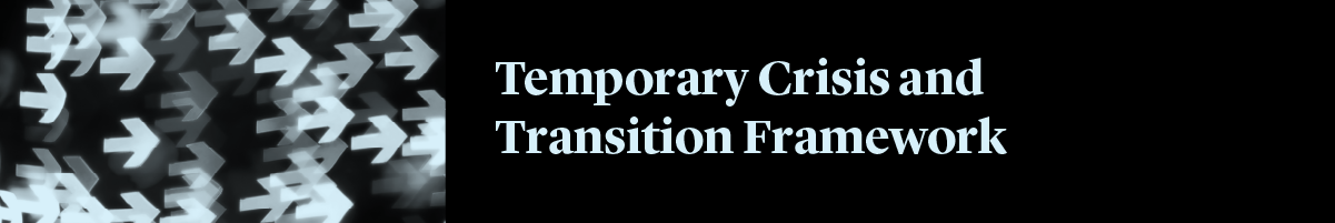 Temporary-Crisis-and-Transition-Framework-1200x200