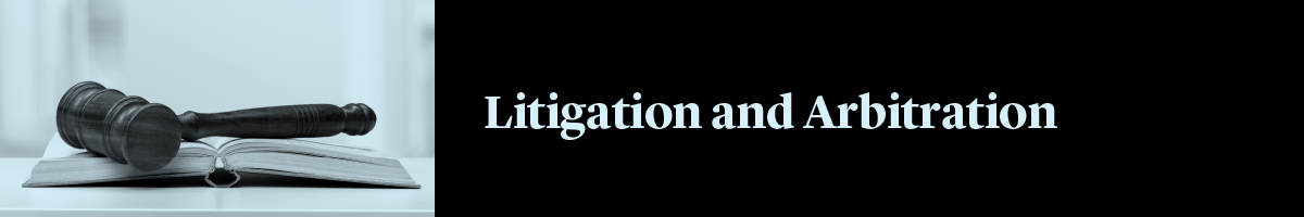 23073104 IBA Web Page Assets Litigation and ArbitrationV21200x200