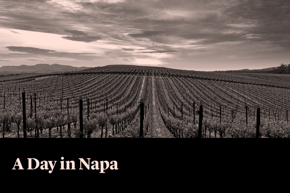 LR-1200x800-Events-Carousel-2025-Additions_Napa/