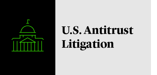U.S. Antitrust Litigation