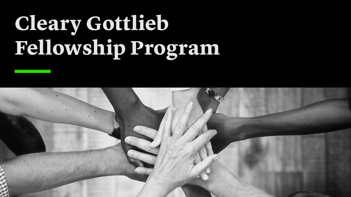 24100102 NY BD Pro Bono Web Page Fellowship Program Website Sidebar Graphic 1200x675