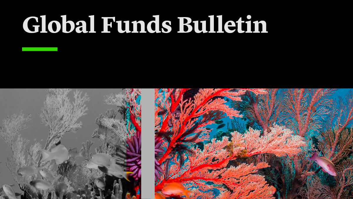 Shorthand Global Funds Bulletin-1200x675