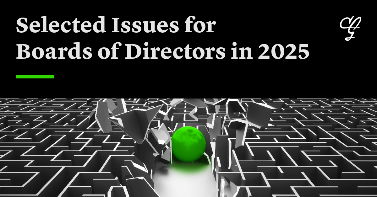 issues4boardsofdirectorsin2025-A
