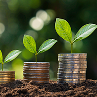 Alternative Assets in 401(k) Plans: What Boards Need to Know in 2026